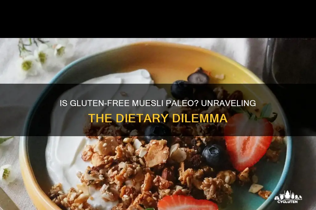 is gluten free muesli paleo