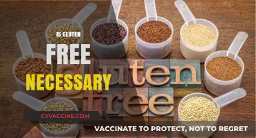 Is Gluten-Free Necessary? Debunking Myths and Understanding Dietary Needs