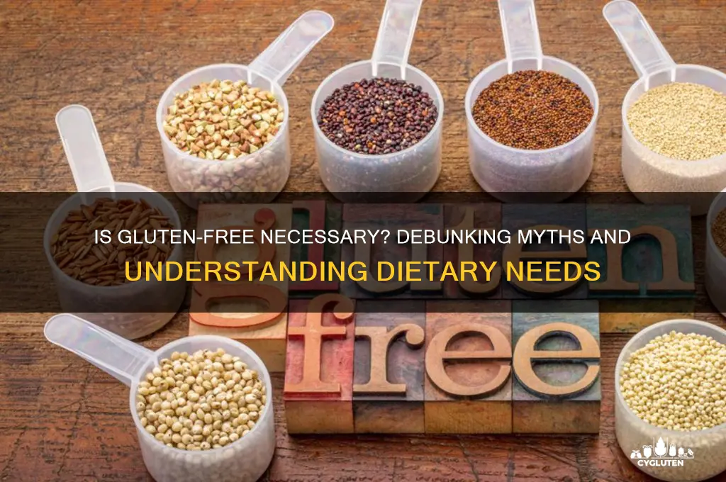 is gluten free necessary
