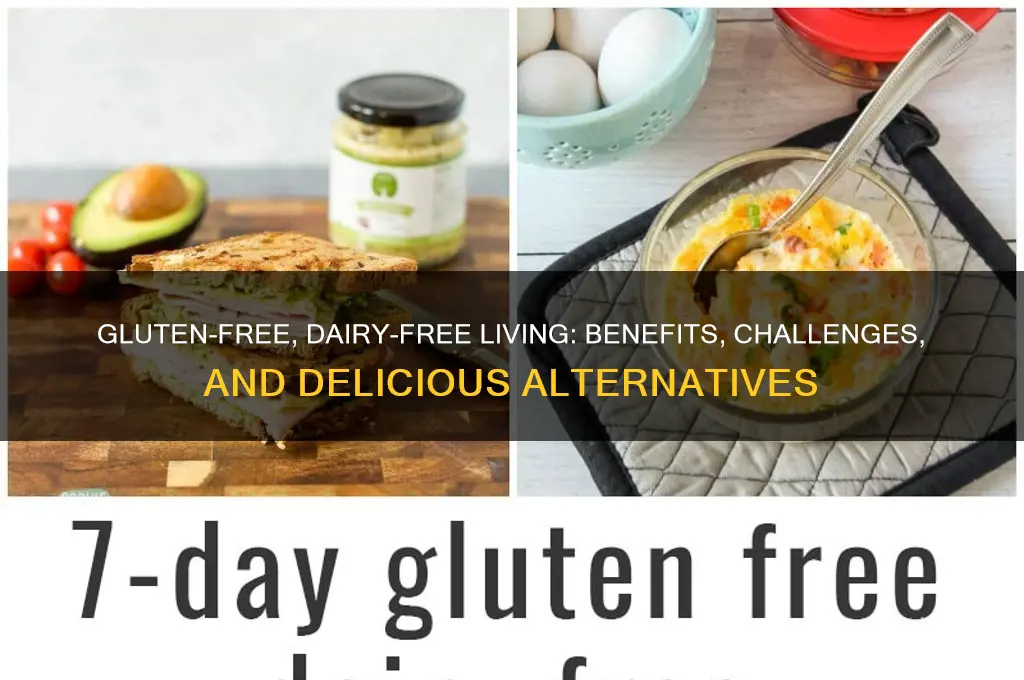 is gluten free no dairy