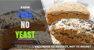 Gluten-Free No Yeast: Exploring Healthy, Easy Baking Alternatives
