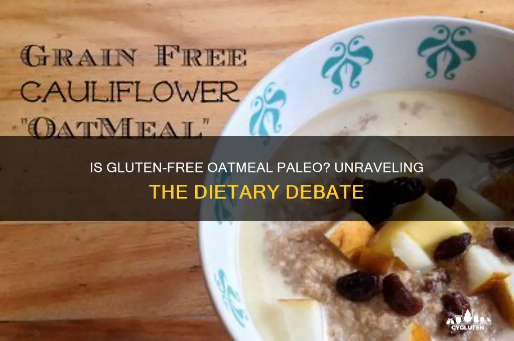is gluten free oatmeal paleo