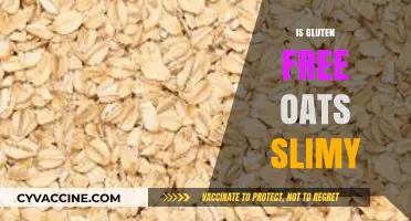 Are Gluten-Free Oats Slimy? Texture Truths Revealed
