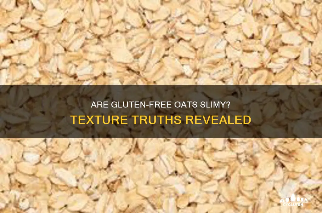 is gluten free oats slimy
