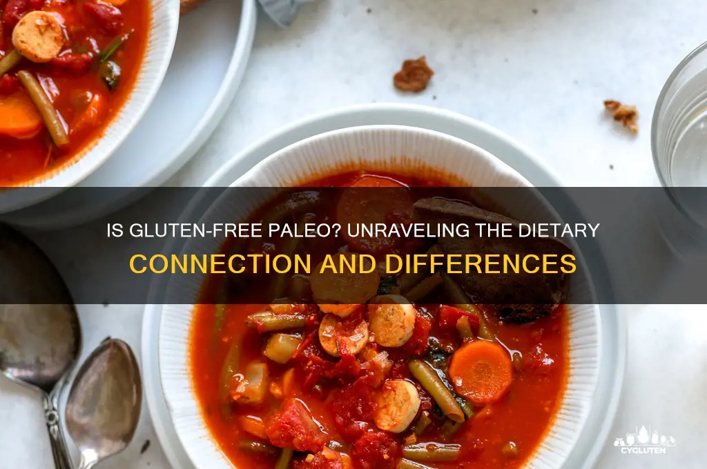 is gluten free paleo