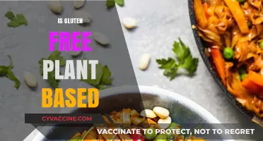Exploring Gluten-Free Plant-Based Diets: Benefits, Challenges, and Delicious Options