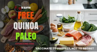 Is Gluten-Free Quinoa Paleo? Unraveling the Dietary Debate