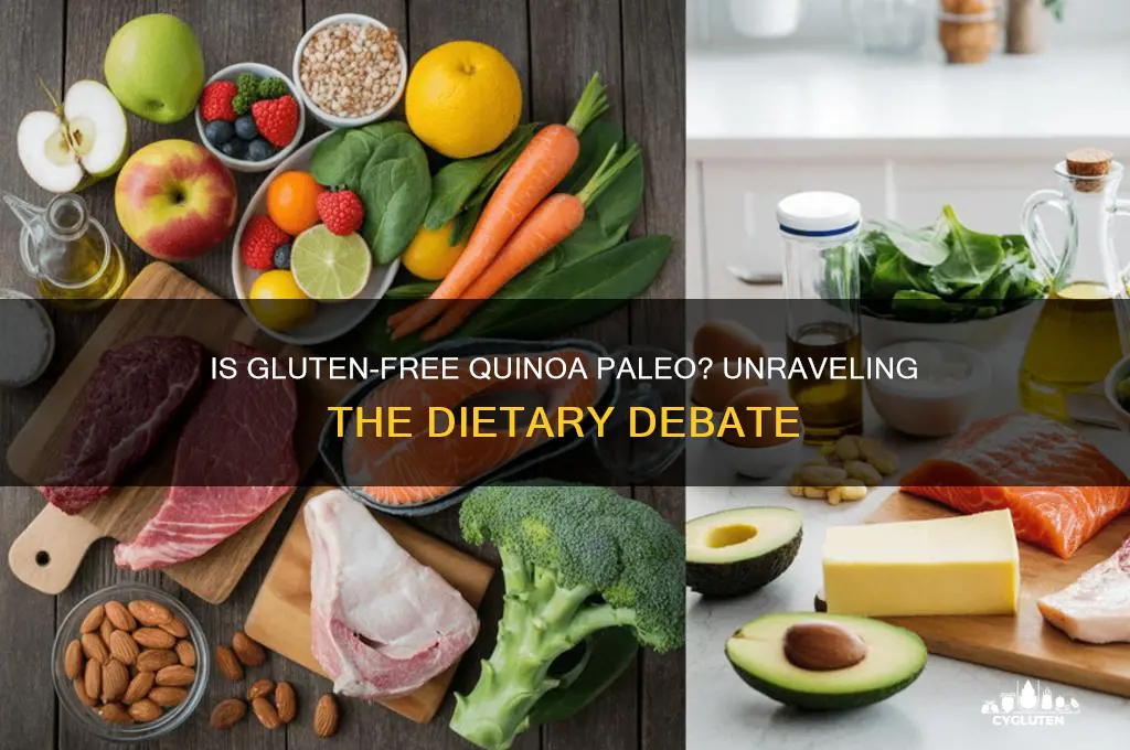 is gluten free quinoa paleo