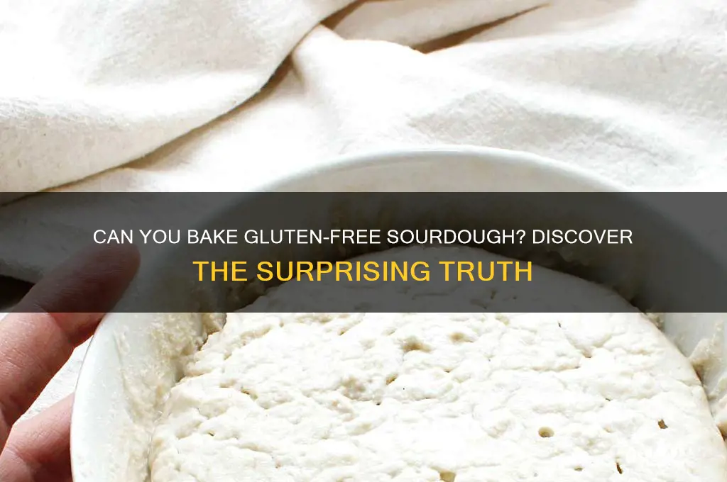 is gluten free sourdough possible