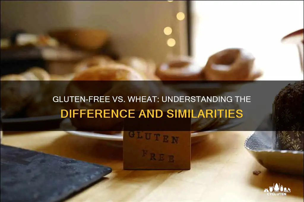 is gluten free still wheat