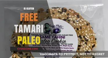 Is Gluten-Free Tamari Paleo? A Complete Dietary Guide