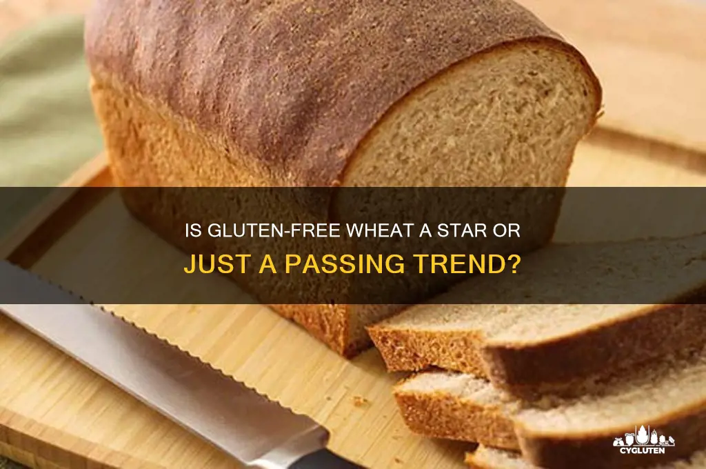 is gluten free wheat star