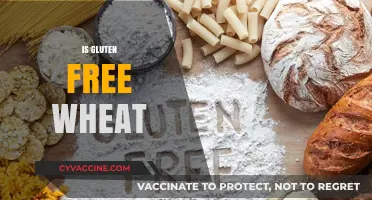 Is Gluten-Free Wheat Possible? Unraveling the Confusion and Facts