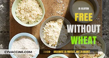 Exploring Gluten-Free Diets: Can You Avoid Gluten Without Cutting Wheat?