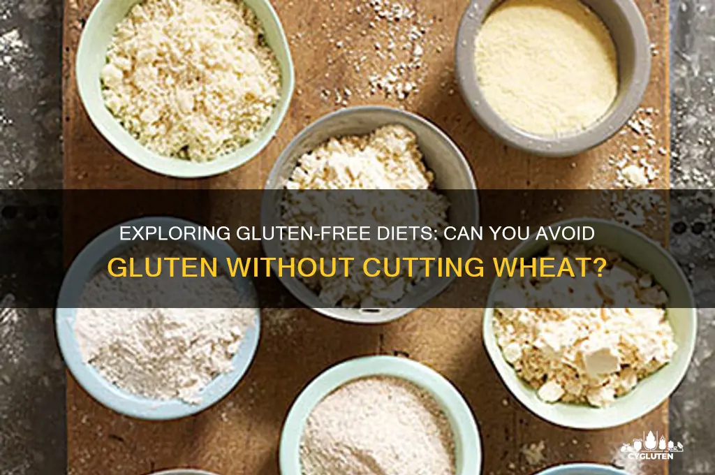 is gluten free without wheat
