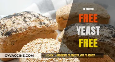 Gluten-Free and Yeast-Free: Understanding the Difference and Dietary Options
