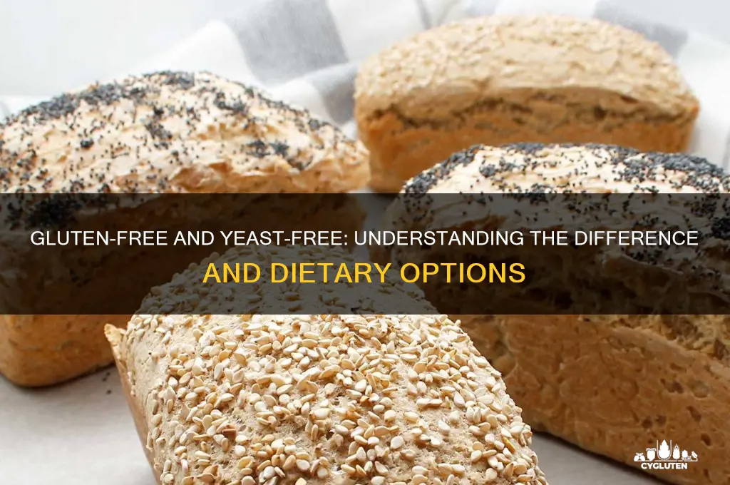 is gluten free yeast free