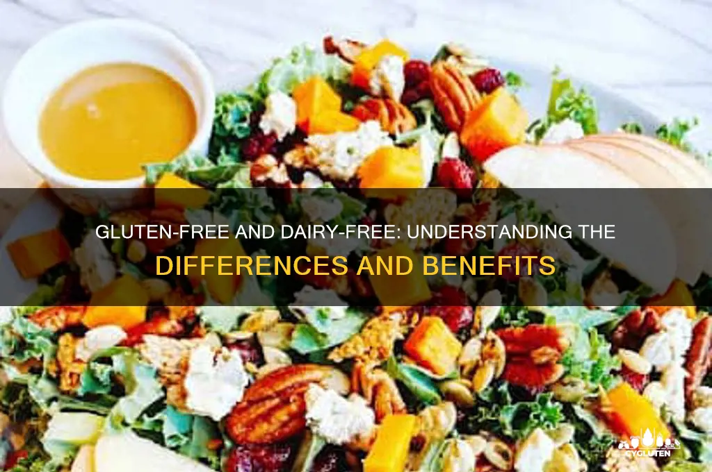 is gluten freen dairy free