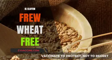Is Gluten-Free Wheat-Free? Understanding the Key Differences and Similarities