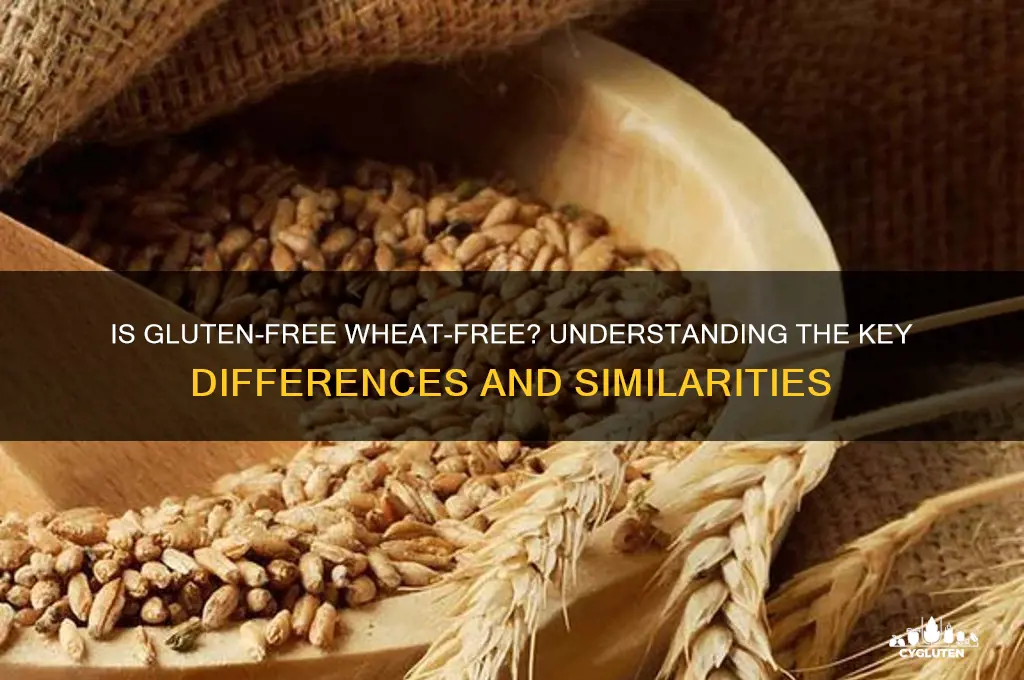 is gluten frew wheat free