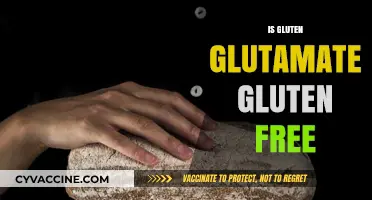 Is Gluten Glutamate Gluten-Free? Unraveling the Confusion