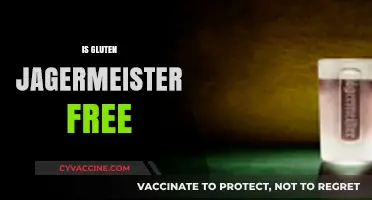 Is Jägermeister Gluten-Free? Uncovering the Truth for Celiac Drinkers