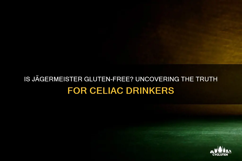is gluten jagermeister free
