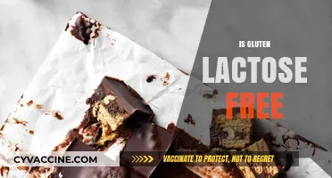 Is Gluten Lactose Free? Understanding the Difference and Dietary Impact