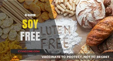 Is Gluten Soy-Free? Understanding the Difference and Cross-Contamination Risks