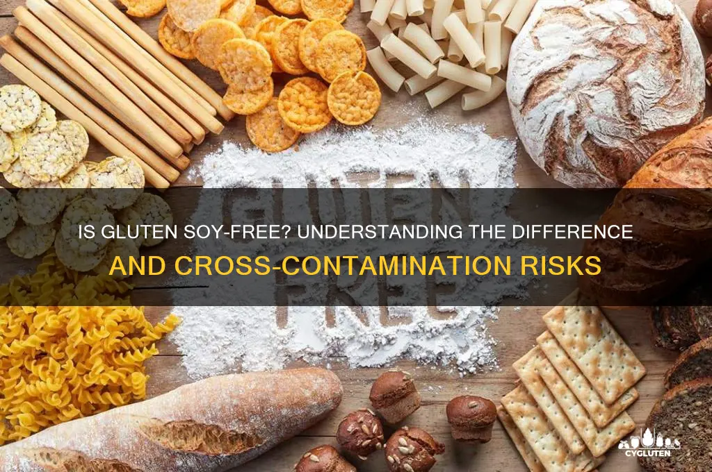 is gluten soy free