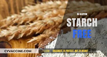 Is Gluten Starch Free? Unraveling the Facts for a Healthier Diet