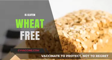Is Gluten Wheat-Free? Unraveling the Confusion for Healthier Choices