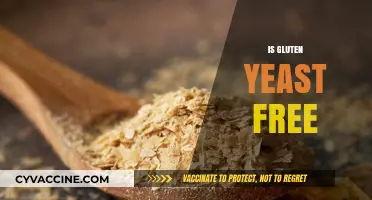 Is Gluten Yeast Free? Understanding the Difference and Dietary Impact