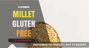 Is Glutinous Millet Gluten-Free? Unraveling the Confusion and Facts