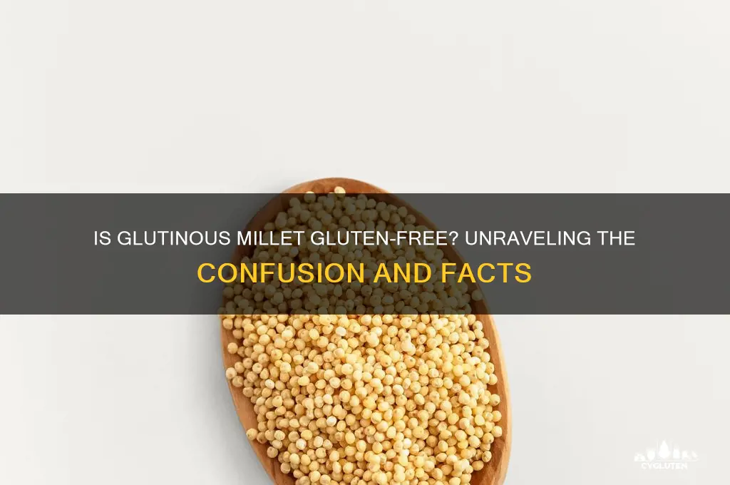 is glutinous millet gluten free