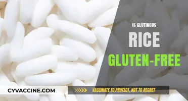 Is Glutinous Rice Gluten-Free? Debunking the Confusion and Myths