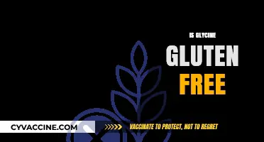 Is Glycine Gluten Free? Understanding Its Safety for Celiac Diets