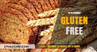 Is Glysomed Gluten-Free? A Comprehensive Guide to Its Ingredients