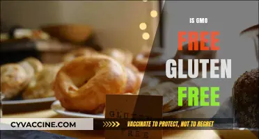 GMO-Free vs. Gluten-Free: Understanding the Key Differences and Similarities