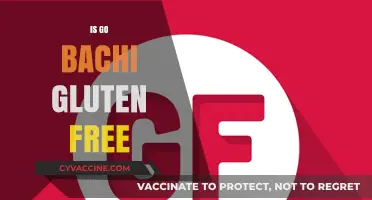 Is Go Bachi Gluten-Free? A Complete Guide to Their Menu