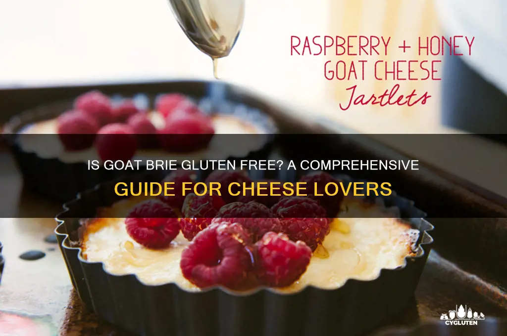is goat brie gluten free