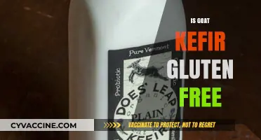 Is Goat Kefir Gluten-Free? A Comprehensive Guide to Your Diet