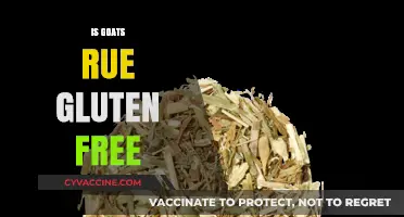 Is Goat's Rue Gluten-Free? Exploring Its Safety for Celiac Diets