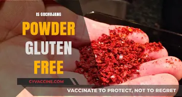 Is Gochujang Powder Gluten-Free? A Complete Guide for Spice Lovers