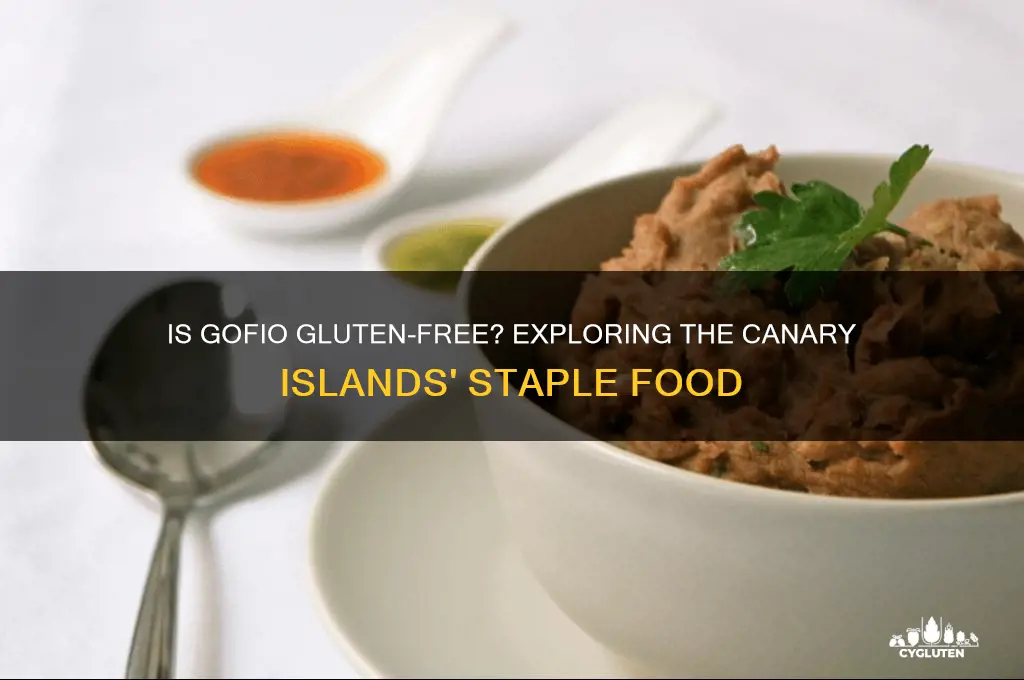 is gofio gluten free