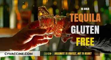 Is Gold Tequila Gluten-Free? Uncovering the Truth for Celiac Drinkers