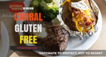 Is Golden Corral Gluten-Free? Exploring Menu Options for Celiac Diners
