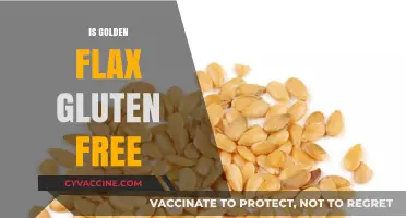 Is Golden Flax Gluten-Free? Unraveling the Facts for a Healthy Diet