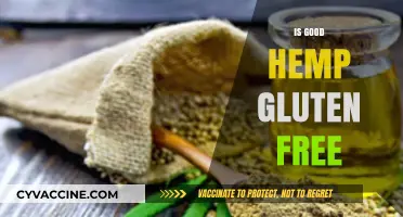 Is Good Hemp Gluten-Free? Exploring Hemp's Dietary Benefits