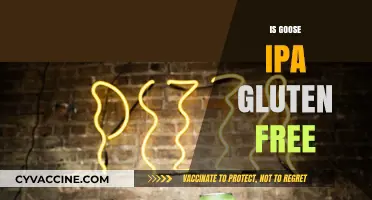 Is Goose IPA Gluten-Free? A Guide for Beer Lovers